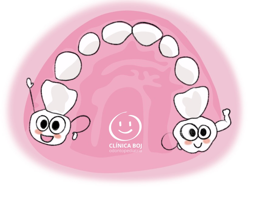 Dientes dientes de leche